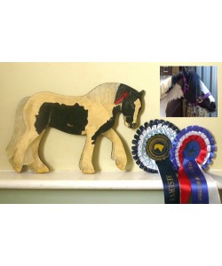 Personalised Pony Wall Plaque - Cob